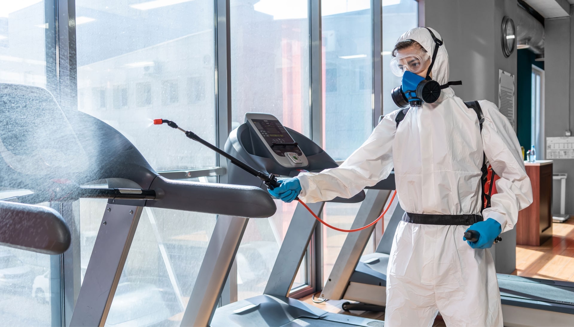 Commercial Mold Removal Services in Lexington