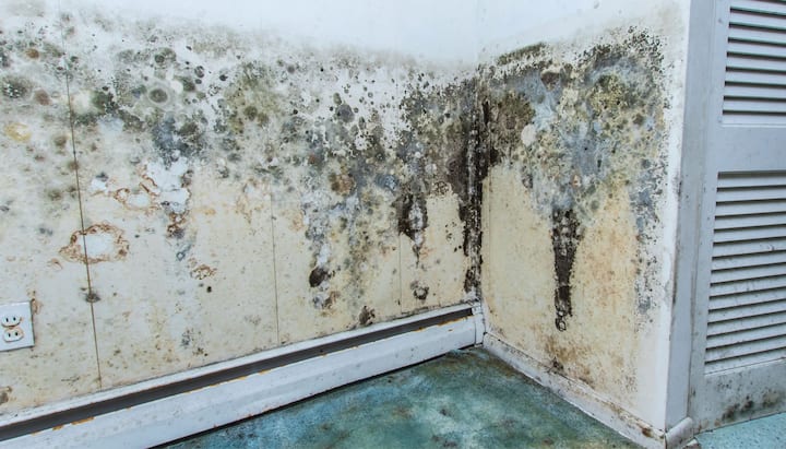 A mold remediation team using specialized techniques to remove mold damage and control odors in a Lexington property, with a focus on safety and efficiency